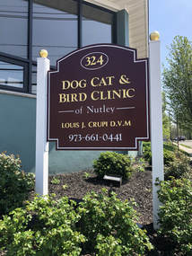 cat dog and bird clinic